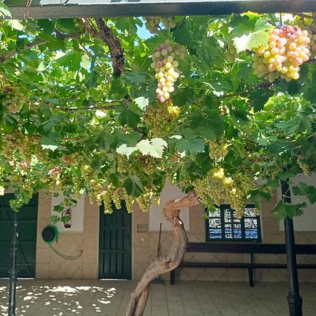 Casa Rural La Del Alba Seria Argamasilla de Alba 外观 照片