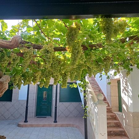 Casa Rural La Del Alba Seria Argamasilla de Alba 外观 照片