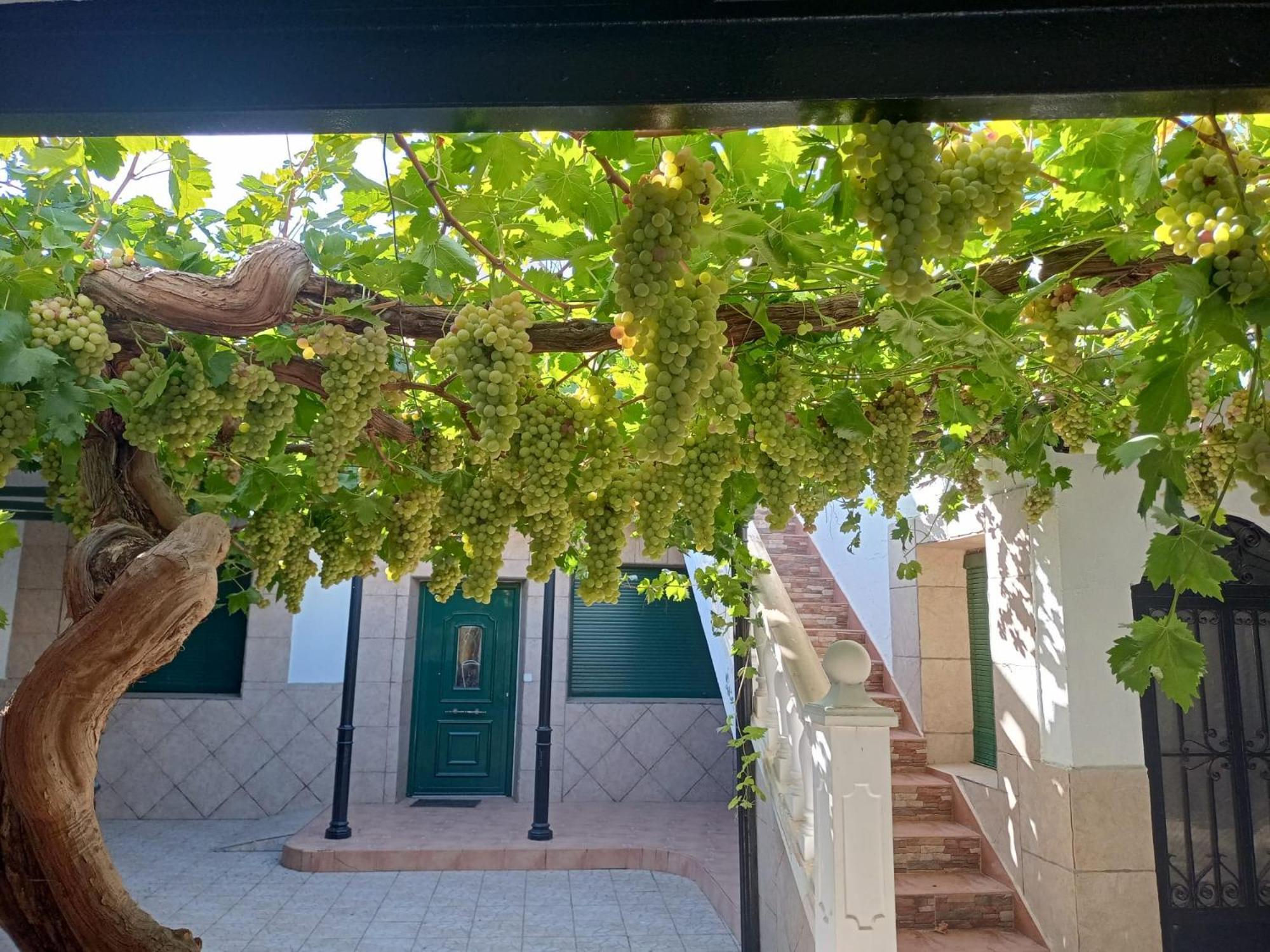 Casa Rural La Del Alba Seria Argamasilla de Alba 外观 照片